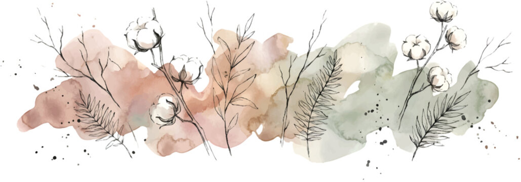 Elegant botanical border illustration on cotton flower on a transparent background
