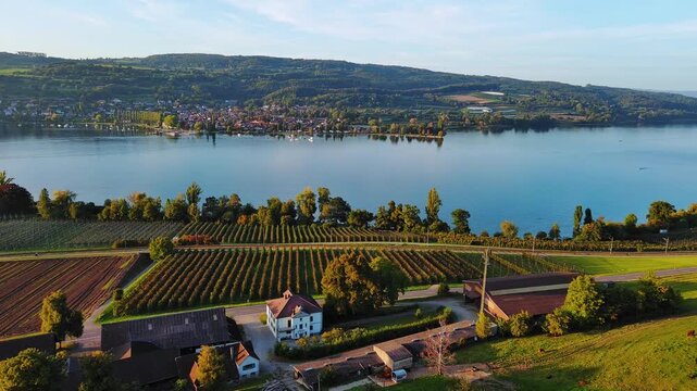 Aerial View of Picturesque Lake Village, Vineyards, and Farmland at Golden Hour
