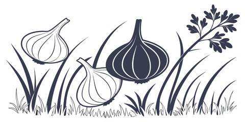 Garlic bulbs and herbs illustration vector graphic design with vegetable illustration culinary ingredient aromatic monochrome silhouette © Sp
