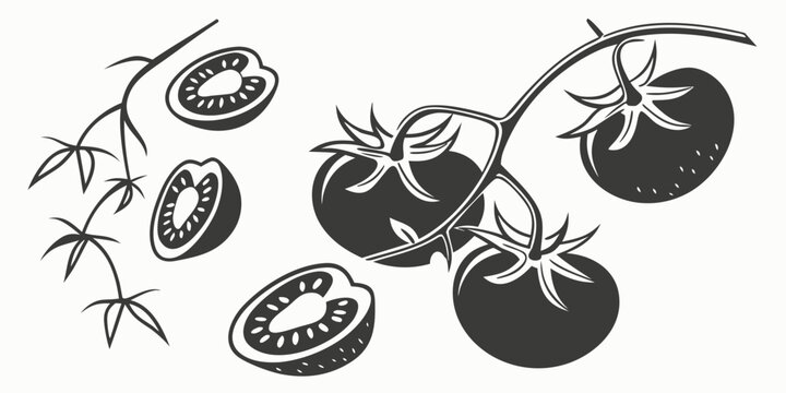 Simple silhouette graphic of tomatoes on a vine with sliced kiwi fruits white background flat design silhouette illustration ingredients