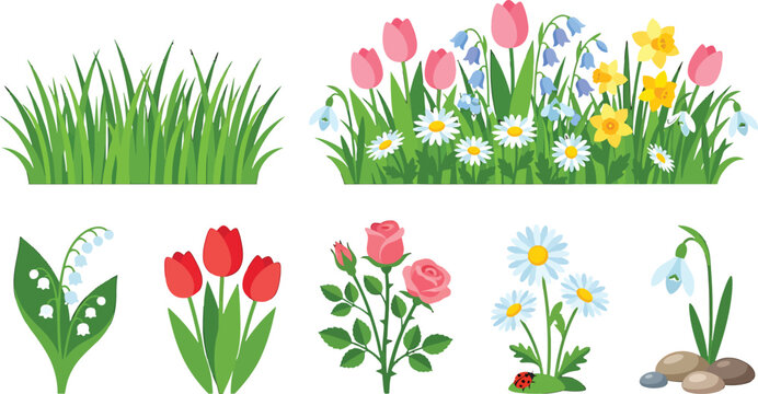 Spring garden flowers and green grass collection with tulips roses daisies and snowdrops in vector illustration