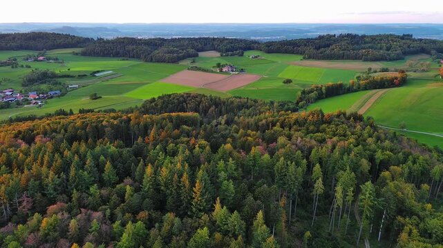 Aerial View of Lush Autumn Forest and Green Fields at Golden Hour