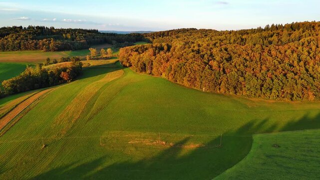 Golden Hour Aerial View of Rolling Autumn Fields and Forests