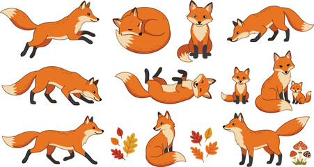 Obraz premium Cute red fox character vector collection featuring various poses running sleeping jumping sitting family kit and autumn leaves for forest woodland nature design projects