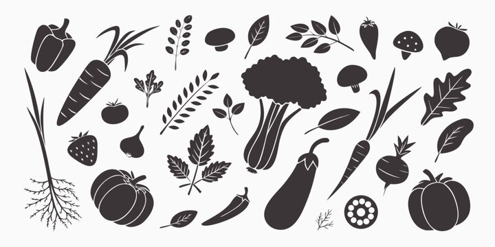 Comprehensive collection of various fresh vegetable silhouettes with vegetables silhouette nutrition broccoli eggplant mushrooms vegetarian