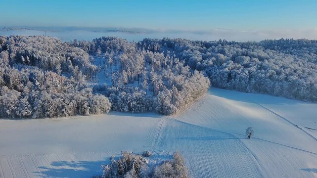 Aerial View of Pristine Winter Landscape with Snow-Covered Forests and Fields