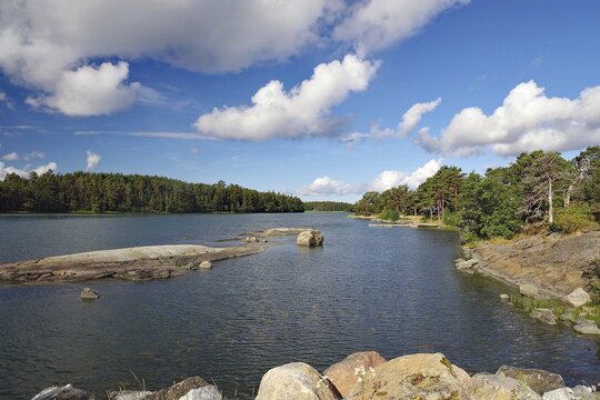 Rocky coast and pines, summer holiday, Archipelago Trail, Turku, Finland