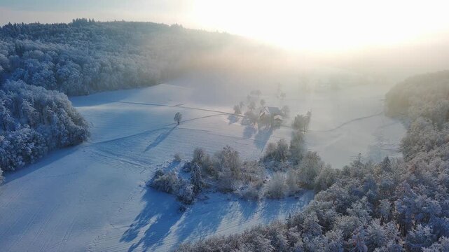 Aerial View of Serene Winter Morning Over Snow-Covered Forests and Fields