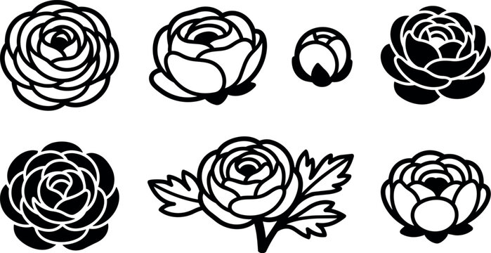 Black and white ranunculus flower line art icons set with leaves vector illustration