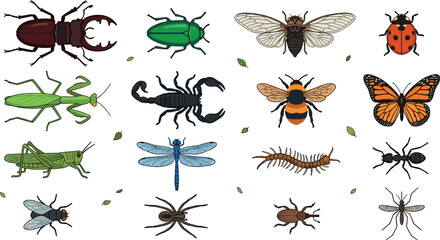 Detailed collection of hand drawn insect vectors including stag beetle butterfly bee scorpion dragonfly ladybug spider and grasshopper for nature educational design projects © SARIFA