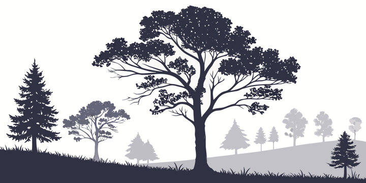 Detailed forest landscape silhouette with diverse trees and grassy meadow silhouette landscape wilderness background illustration woodland