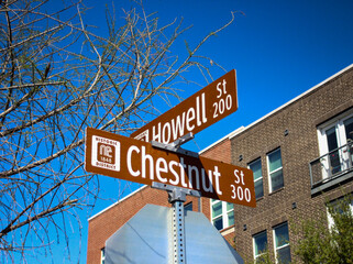 Obraz premium Howell Street and Chestnut Street Directional Street Sign Surrounded By Buildings and Trees in Downtown Mckinney, Texas