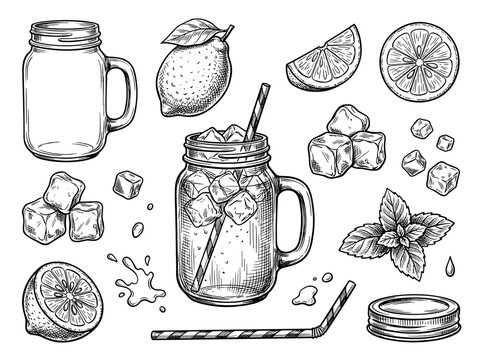 Hand drawn black ink sketch of lemonade mason jar mug, lemon slice, ice cube, mint sprig on white background