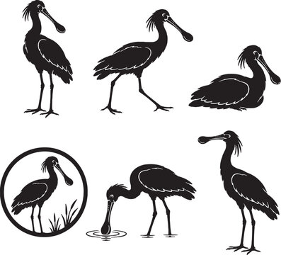 Eurasian Spoonbill Silhouette Icon Set Collection Black Wading Bird Vector Symbols Isolated Wildlife Poses