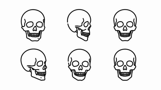 Six Skulls Illustration, Different Angles, Black and White Line Art