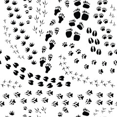 Obraz premium Mammal bird trace track step graphic element vector