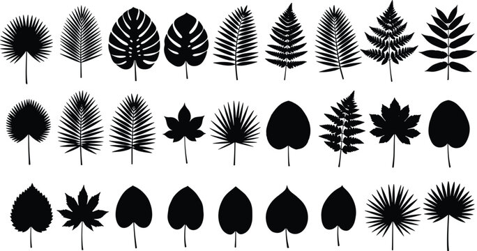 Leaf silhouette set with 28 botanical shapes including palm, fern, heart, and compound leaf designs