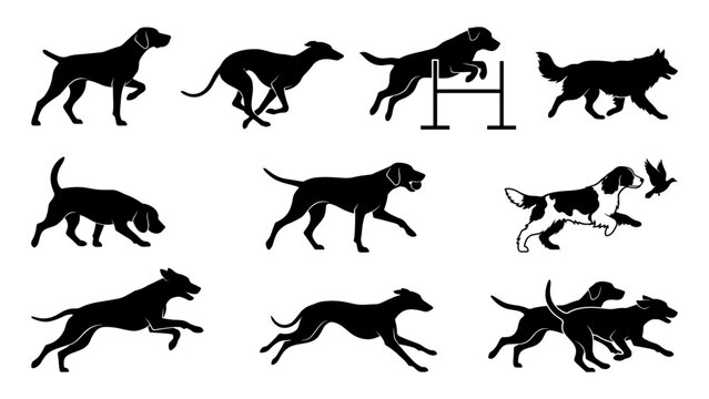 Dog silhouettes collection featuring various breeds running and jumping in agility training
