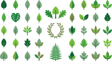 Fototapeta premium Green Leaf Icons and Botanical Elements Set with Flat Vector Foliage Symbols, Laurel Wreath, Fern, Monstera, and Tree Leaves for Nature Designs