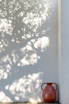 Terracotta vase with dappled tree shadow on white wall, Italy