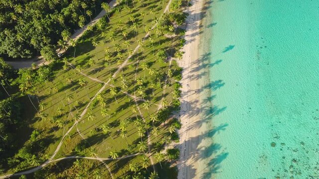Travel tropical holiday background. Aerial view stunning contrast between lush green palm trees casting long shadows on the white sand beach and the vibrant calm turquoise waters of the South Pacific