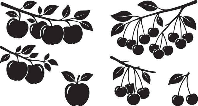 Black and white illustration of corn stalks with leaves