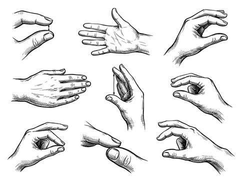 Hand drawn ink sketch illustration of hand gestures measuring size and scale, isolated on white background