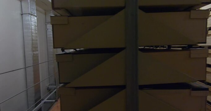 Document storage. Shelving units with folders and boxes.