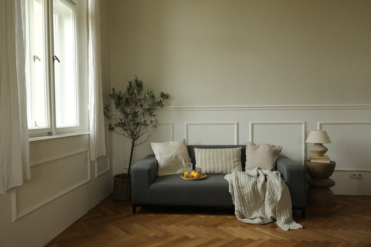 Modern living room interior design. Mediterranean, Scandinavian style. Grey sofa bear window. Glass, carafe of water, lemon fruit. Side table, lamp, olive tree. Empty beige wall mockup, parquet floor