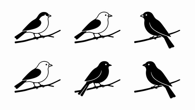 Set of six stylized bird icons perched on branches, black and white simple vector illustration