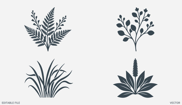 Botanical wild plants and fern leaves silhouette collection for natural logo and graphic design