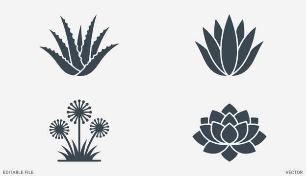 Botanical succulent flowers vector set with aloe cactus dandelion and blooming lotus floral icons