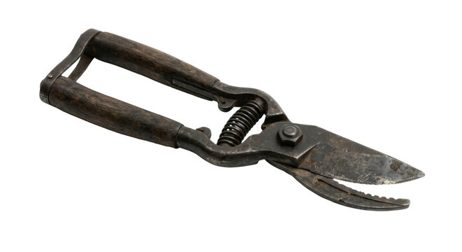 Old rusty bolt cutters on transparent background