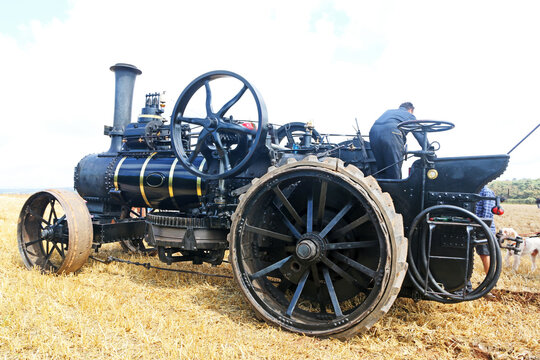 Vintage Steam Traction engine in a field	