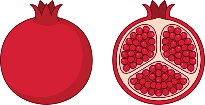 Fresh red pomegranate fruit vector set featuring whole and half cut sweet tropical fruit isolated on white