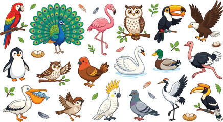 Cute birds cartoon vector set with wild animals parrot owl peacock flamingo penguin toucan eagle isolated on white background © Habiba