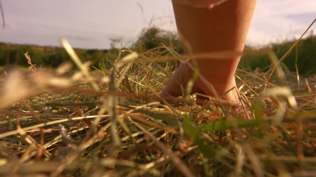 Female farmer picks up piles of grass hay in field