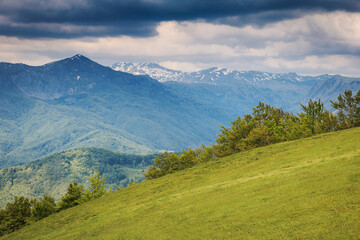 Fototapeta premium Lush green hill slope with trees leading to a vast mountainous landscape, showing snowy peaks under a cloudy sky