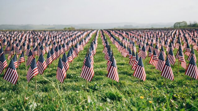 m American flags in a green field, patriotic memorial display on grass, rows of United States flags for Veterans Day or Memorial Day tribute