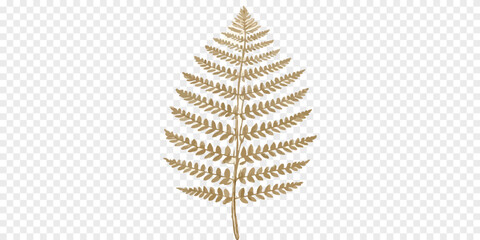 Single elegant gold hand drawn fern leaf illustration for botanical design with botanical illustration isolated decoration handdrawn sketchbook ornament invitation metallic artistic delicate © MD OSMAN