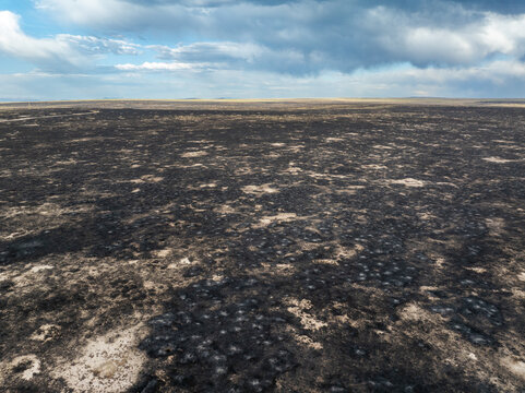 Burnt field stretches wide under cloudy sky