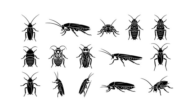 Realistic cockroach vector icon collection with 12 unique monochrome insect designs