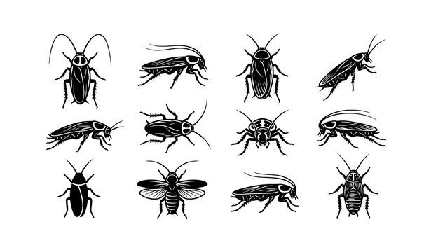 Cockroach insect flat vector set with 12 unique black and white illustrations
