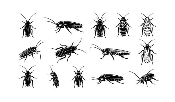 Premium cockroach flat vector pack with 12 unique black and white insect illustrations