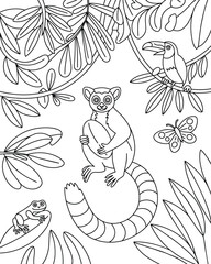 Obraz premium Jungle animals coloring page for children featuring a cute ring-tailed lemur, toucan bird, butterfly, and tropical forest leaves and book and wild