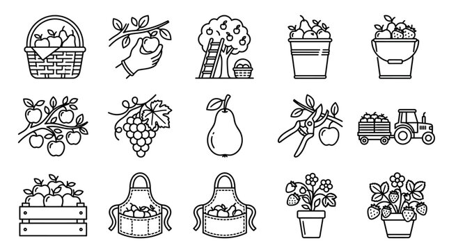 Farm Fresh Fruit Harvest Icons: Apples, Grapes, Pears, Strawberries, Tractor, Basket