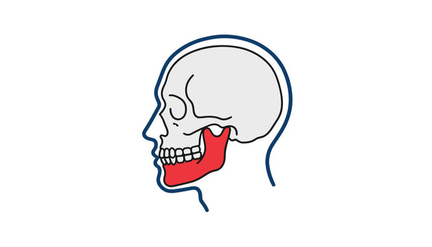 Profile illustration of a human head featuring the mandible bone highlighted in red to visualize skeletal and dental anatomical structures.