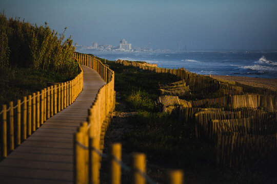 Wooden boardwalk winding through protected coastal dunes beside the Atlantic Ocean, illuminated by warm evening light with a distant city skyline on the horizon.