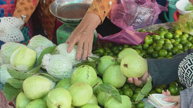 Close-up of a customer selecting and buying fresh guavas at a local fruit market stall