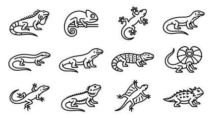 Obraz premium Collection of Lizard Icons: Iguana, Chameleon, Gecko, Monitor Lizard, Frilled Lizard, Bearded Dragon